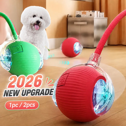 Interactive Dog Bounce Ball NZ - Chew & Fetch Toy