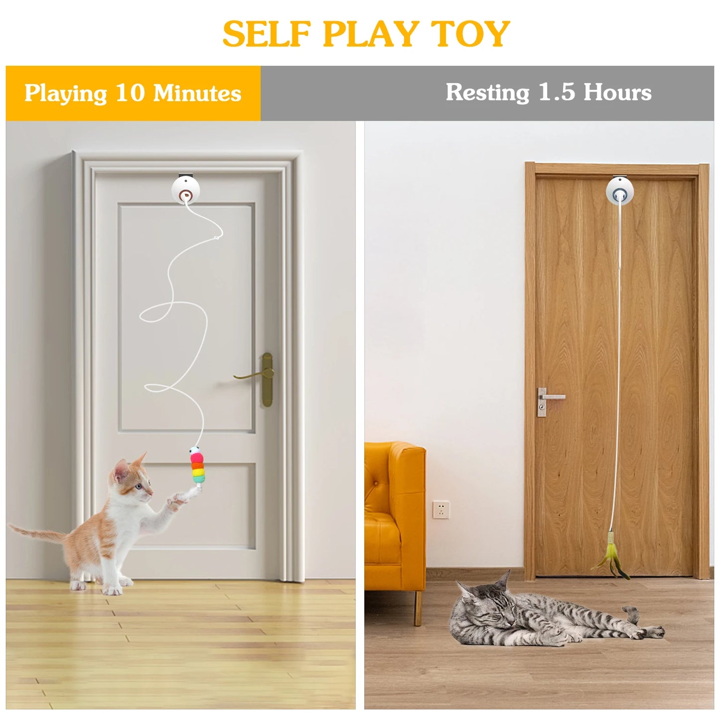 Cat Wand Toy NZ - Interactive Feather Teaser Door Hanger