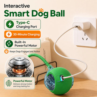 Interactive Dog Bounce Ball NZ - Chew & Fetch Toy