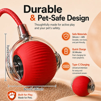 Interactive Dog Bounce Ball NZ - Chew & Fetch Toy