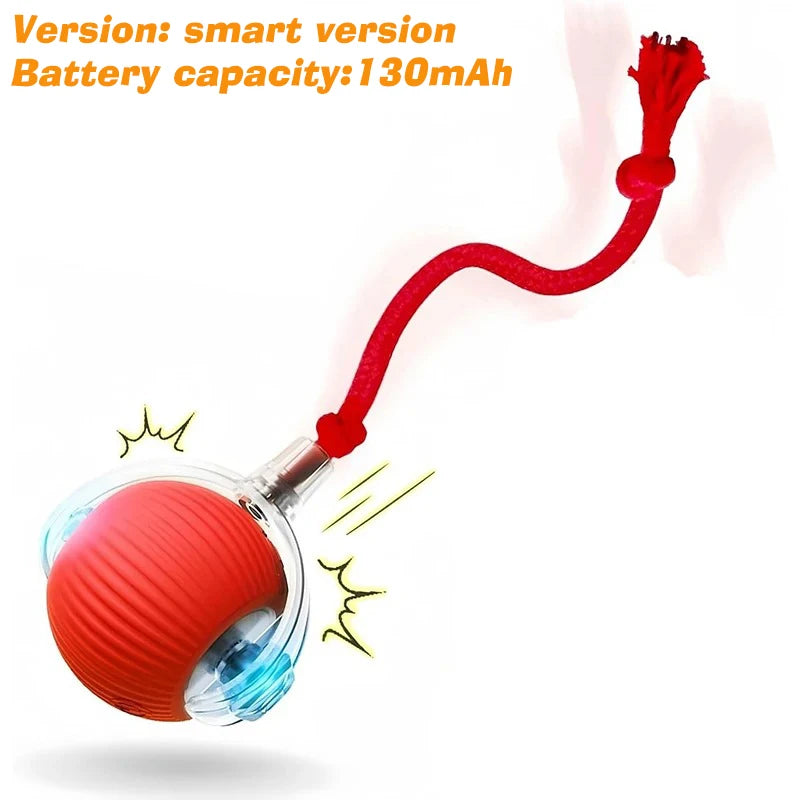Interactive Dog Bounce Ball NZ - Chew & Fetch Toy