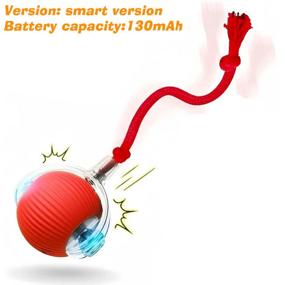 Interactive Dog Bounce Ball NZ - Chew & Fetch Toy