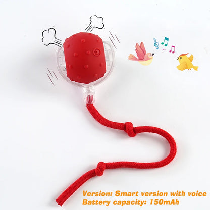 Interactive Dog Bounce Ball NZ - Chew & Fetch Toy
