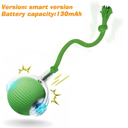 Interactive Dog Bounce Ball NZ - Chew & Fetch Toy