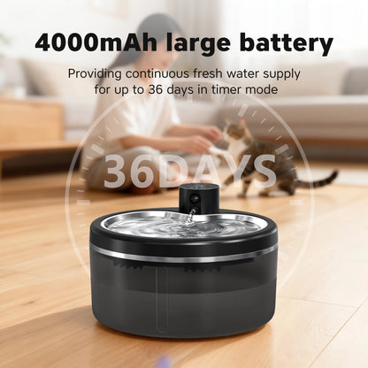Pet Water Fountain NZ - Quiet Automatic Cat & Dog Drinker