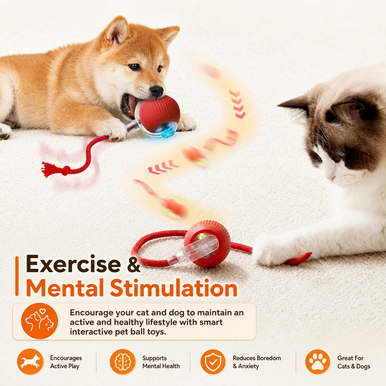 Interactive Dog Bounce Ball NZ - Chew & Fetch Toy