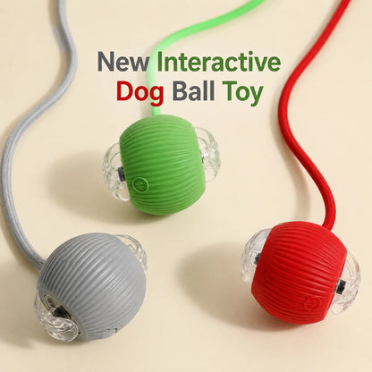 Interactive Dog Bounce Ball NZ - Chew & Fetch Toy
