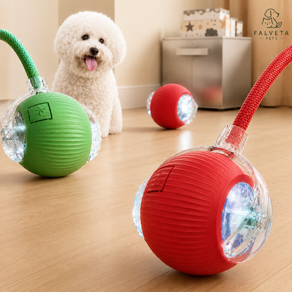 Interactive LED bounce ball for dogs — rechargeable glow toy