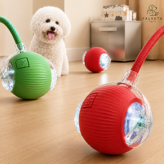 Interactive LED bounce ball for dogs — rechargeable glow toy