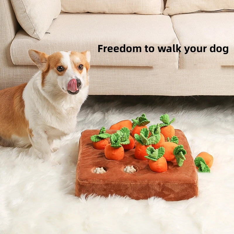 hide seek carrot dog toy 2