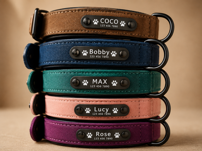 personalised leather dog collar 1