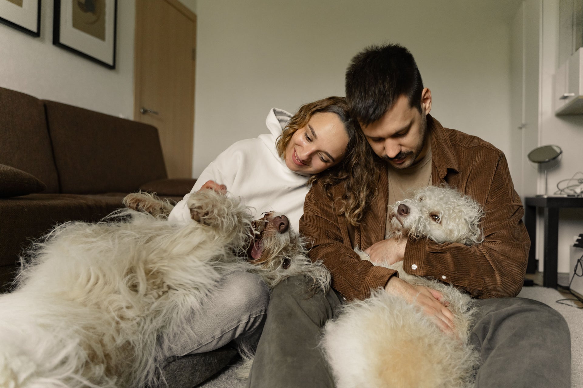 Designed for pets.
Made for your home.