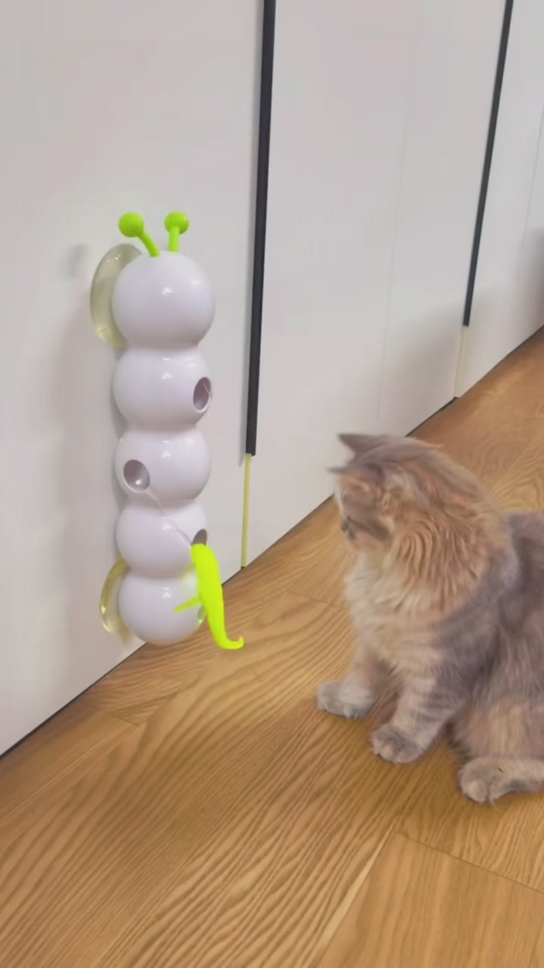 Motion Sensor Cat Toy - cat reacting to automatic feather toy NZ