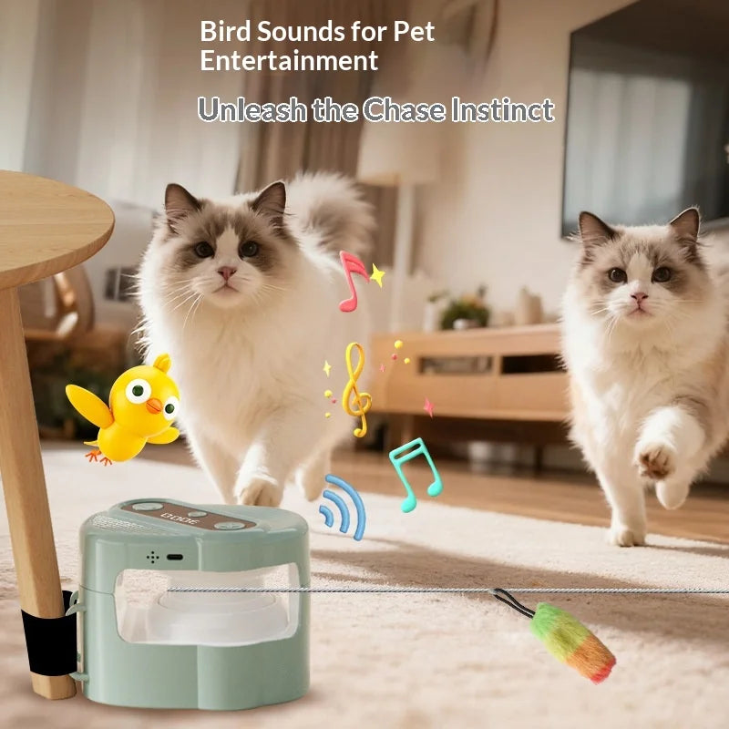 Room chaser interactive cat toy — automatic string chase system NZ