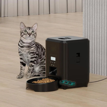 Smart automatic pet feeder with app control — dogs and cats NZ