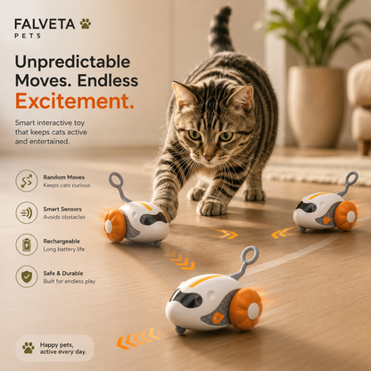 Remote control rover cat toy — smart interactive RC toy NZ